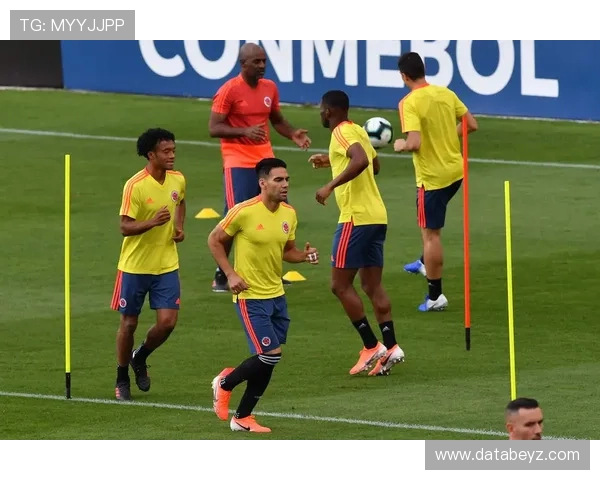 哥伦比亚队控球能力表现稳健，中场组织效率持续提升