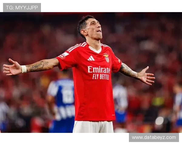 迪马利亚国家队表现